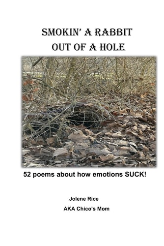 Smokin' a Rabbit Out of a Hole 52 Poems about how Emotions SUCK!