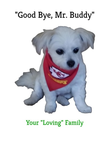 "Good Bye, Mr. Buddy" "You Brought Great Joy"