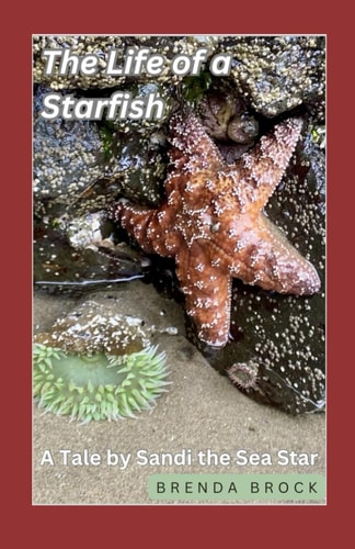 Life of a Starfish A Tale by Sandi the Sea Star