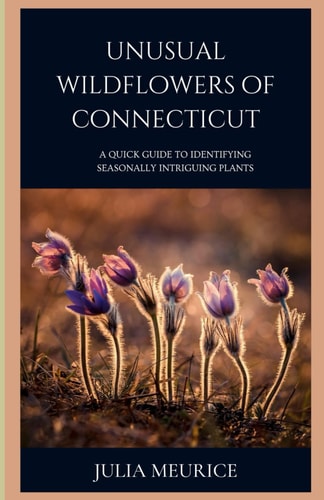 Unusual Wildflowers of Connecticut A Quick Guide to Identifying Seasonally Intriguing Plants