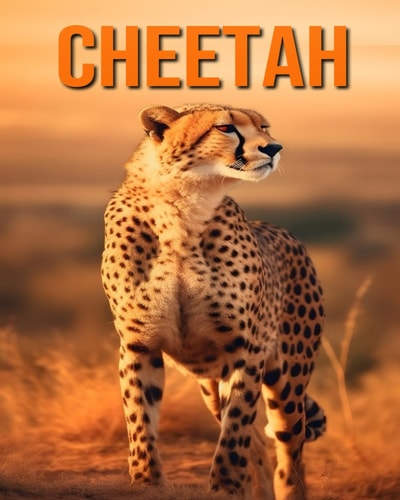 Cheetah Fun and Fascinating Facts and Pictures About Cheetah