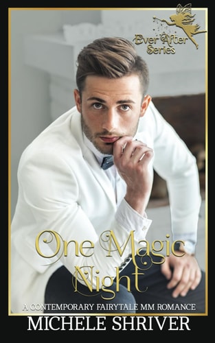 One Magic Night A Contemporary Retelling MM Romance