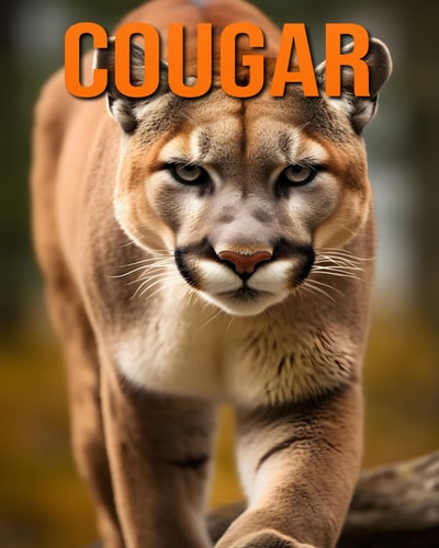 Cougar Fun and Fascinating Facts and Pictures About Cougar