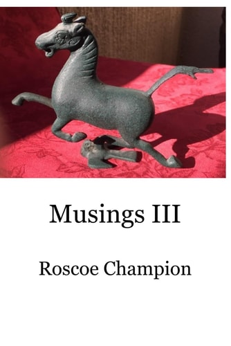Musings III