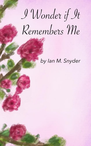 I Wonder If It Remembers Me