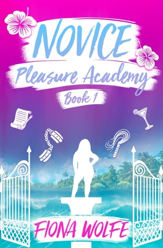 Novice A Steamy Contemporary Rom Com
