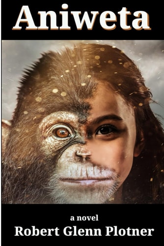 Aniweta