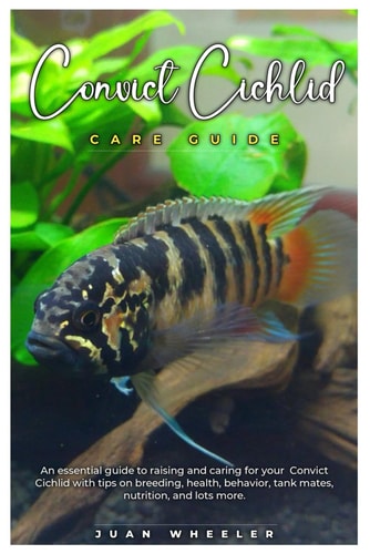 Convict Cichlid Care Guide An Essential Guide to Raising and Caring for Your Convict Cichlid with Tips on Breeding, Health, Behavior, Tank Mates, Nutrition, and Lots More.