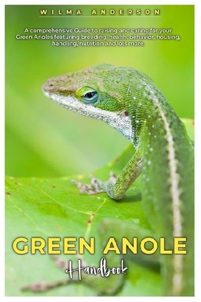 GREEN ANOLE HANDBOOK: A comprehensive Guide to raising and caring for your Green Anoles featuring breeding, health, behavior, housing, handling, nutrition and lots more.