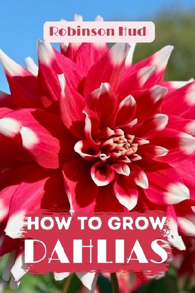 HOW TO GROW  DAHLIAS: Easy guide to planning,planting and growing