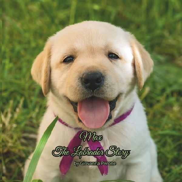 Max The Labrador Story