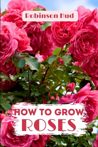How to Grow Roses Easy Guide to Planning, Planting and Growing a Rose Flower