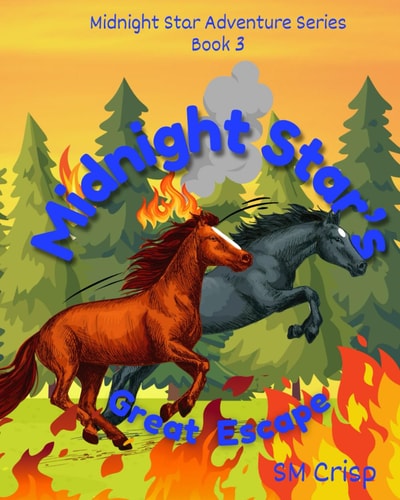 Midnight Star's Great Escape A Horse Story for Children