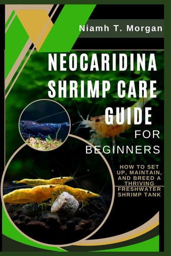 Neocaridina Shrimp Care Guide for Beginners How to Set Up, Maintain, and Breed a Thriving Freshwater Shrimp Tank