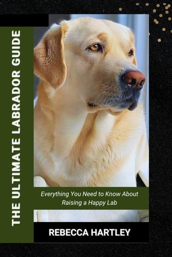 The Ultimate Librado Guide Everything You Need to Know about Raising a Happy Lab