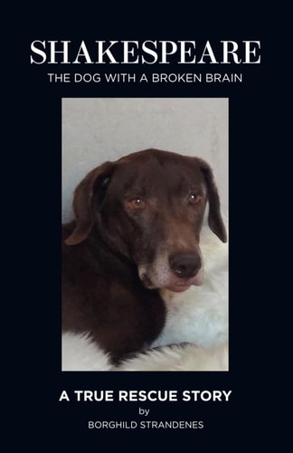 Shakespeare The Dog with a Broken Brain