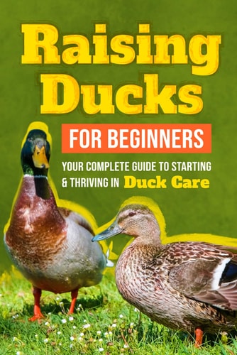 Raising Ducks for Beginners Your Complete Guide to Starting and Thriving in Duck Care