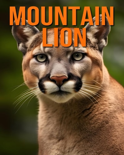 Mountain Lion Fun and Fascinating Facts and Pictures About Mountain Lion