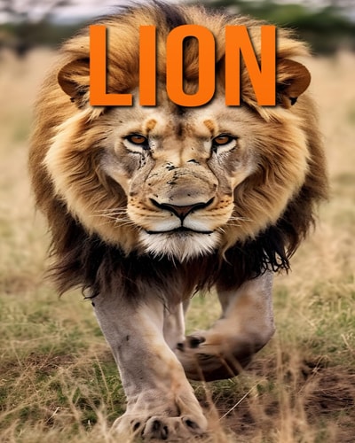 Lion Fun and Fascinating Facts and Pictures About Lion
