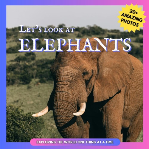 Let's Look At Elephants Picture Book for Children