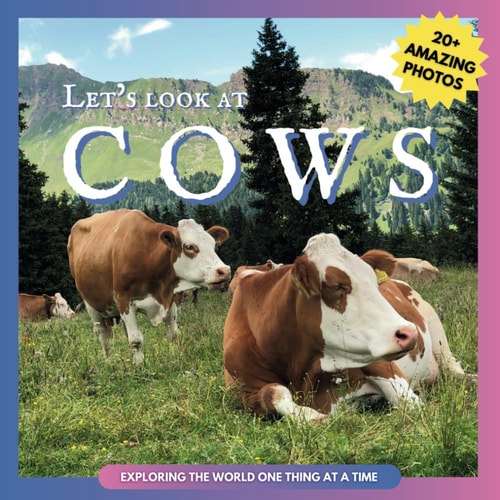 Let's Look At Cows Picture Book for Children