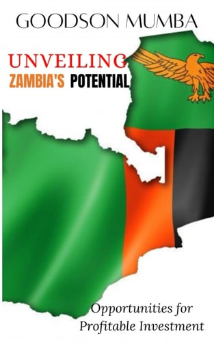 UNVEILING ZAMBIA'S POTENTIAL: OPPORTUNITIES FOR PROFITABLE INVESTMENTS