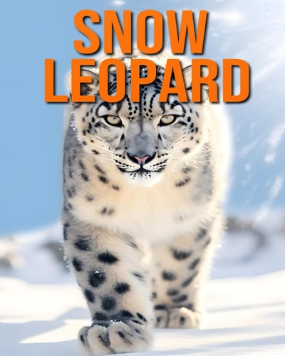 Snow Leopard Fun and Fascinating Facts and Pictures About Snow Leopard