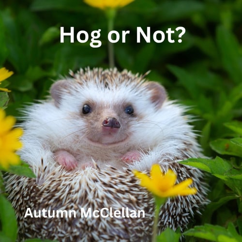 Hog Or Not?