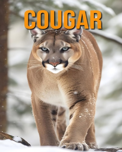Cougar The Essential Guide to This Amazing Animal with Amazing Photos