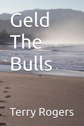 Geld The Bulls