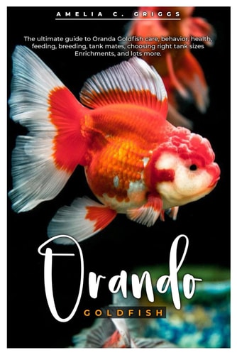 Oranda Goldfish The Ultimate Guide to Oranda Goldfish Care, Behavior, Health, Feeding, Breeding, Tank Mates, Choosing Right Tank Sizes, Enrichments, and Lots More.