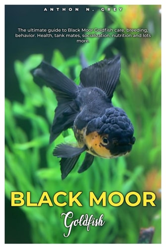 Black Moor Goldfish The Ultimate Guide to Black Moor Goldfish Care, Breeding, Behavior, Health, Tank Mates, Socialization, Nutrition and Lots More.