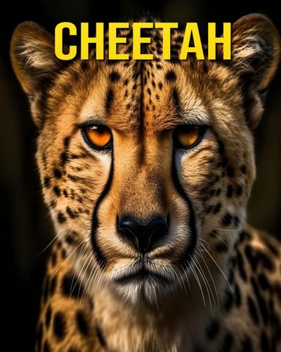 Cheetah Fun and Amazing Pictures About Cheetah