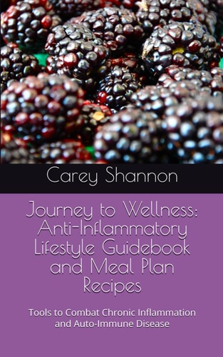 Journey to Wellness Anti-Inflammatory Lifestyle Guidebook and Meal Plan Recipes: Tools to Combat Chronic Inflammation and Auto-Immune Disease