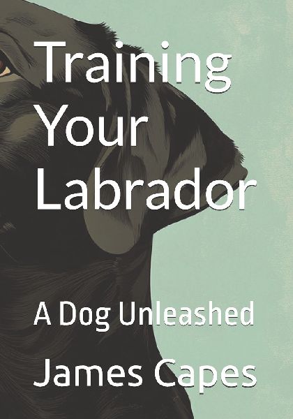 Training Your Labrador: A Dog Unleashed