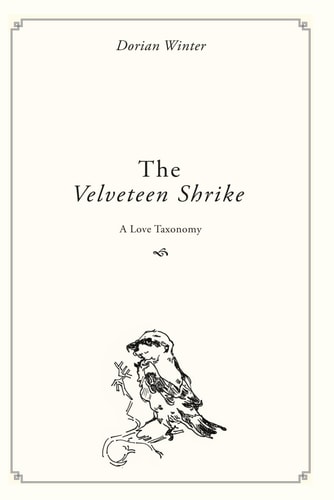 The Velveteen Shrike A Love Taxonomy