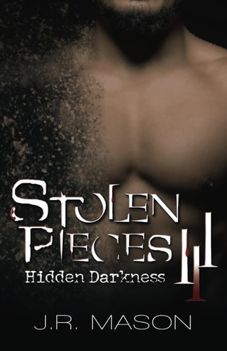 Stolen Pieces III: Hidden Darkness (Stolen Pieces Series)