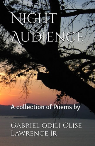 Night Audience A Collection of Poems