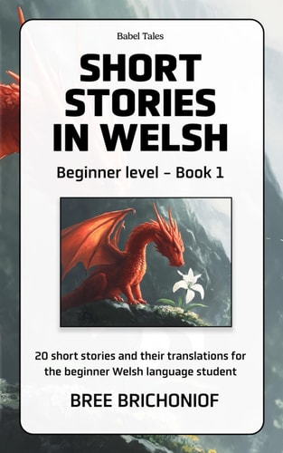 Short Stories in Welsh Beginner Level - Book 1