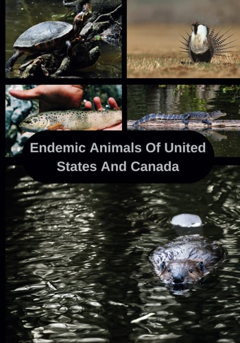 Endemic Animals Of USA And CANADA Animal Facts