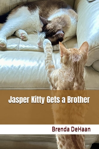 Jasper Kitty Gets a Brother
