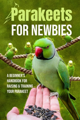Parakeets for Newbies A Beginner's Handbook for Raising and Training Your Parakeet