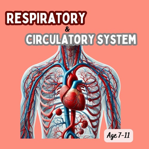 Respiratory and Circulatory System Circulatory System, Parts of the Heart, Parts of the Circulatory System, Respiratory System, What's Inside Blood?, The Immune and Lymphatic Systems, Passive and Active Immunity Quiz