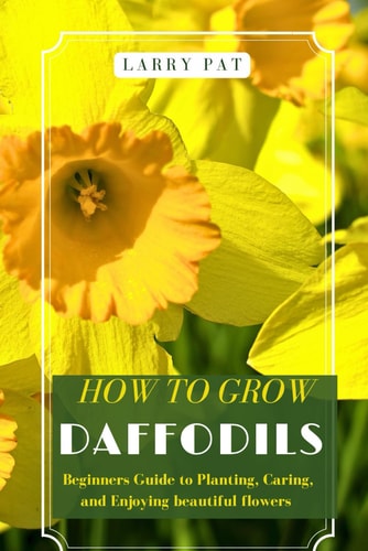 How to Grow Daffodils Beginners Guide to Planting, Caring, and Enjoying Beautiful Flowers