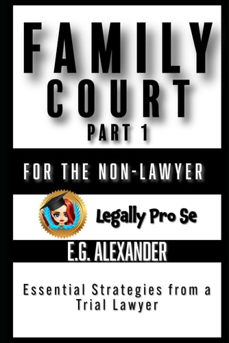 Family Law Pro Se (Part 1) Non-Lawyer's Guide to Self-Representation