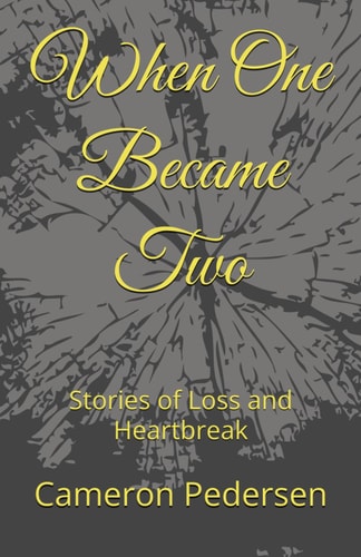 When One Became Two Stories of Loss and Heartbreak