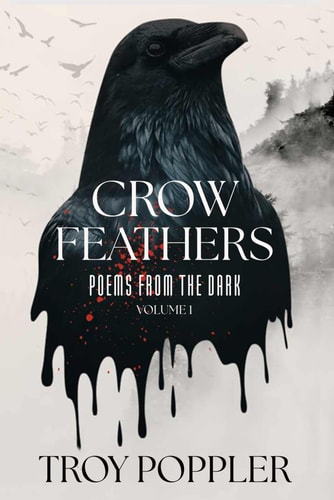 Crow Feathers Poems from the Dark