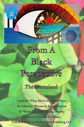 From a Black Perspective The Homeland