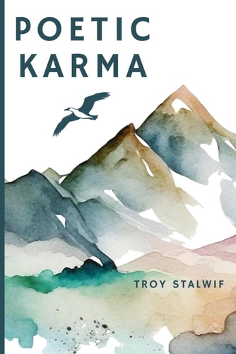 Poetic Karma There's Always Another Side to the Story-a Perspective Often Left Untold.