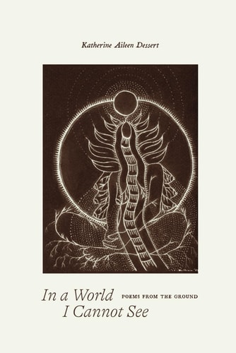 In a World I Cannot See Poems From the Ground